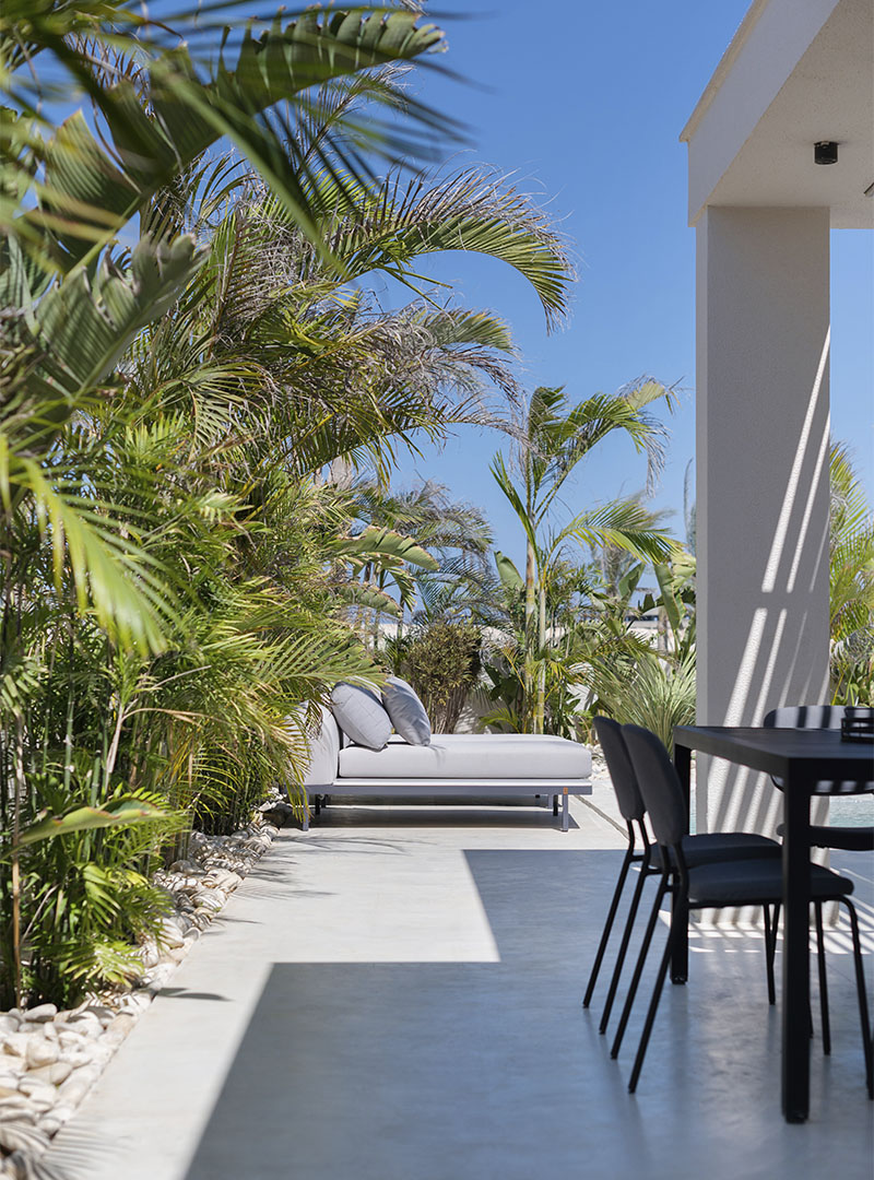 Stijlvoorbeeld microcement buitenterras met palmen